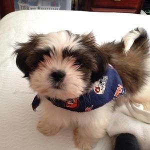 Meet your Posher, Blakeslee